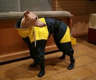 Aramis apģērbs suņiem. Ziemas suņu kombinezons-mētelis ar atstarotājiem, L